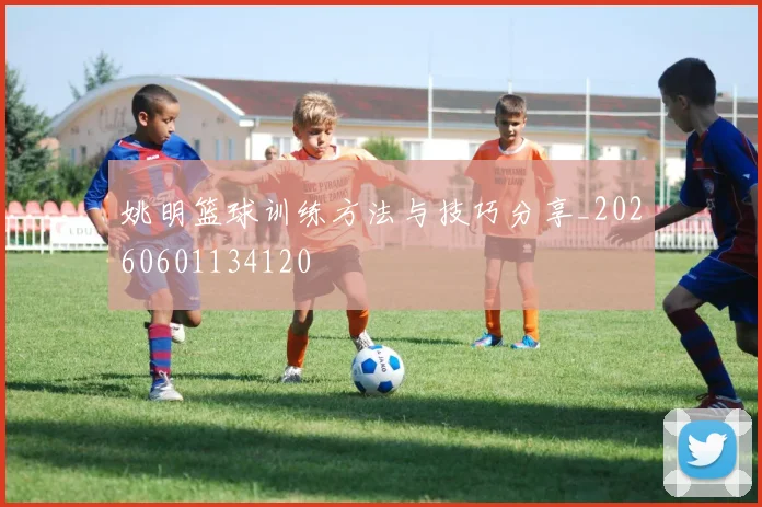 姚明篮球训练方法与技巧分享_20260601134120