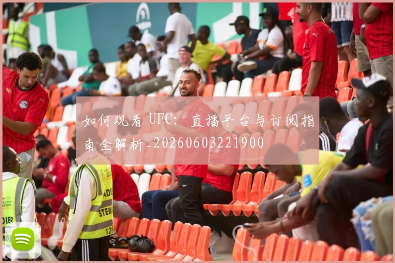 如何观看 UFC:直播平台与订阅指南全解析_20260603221900