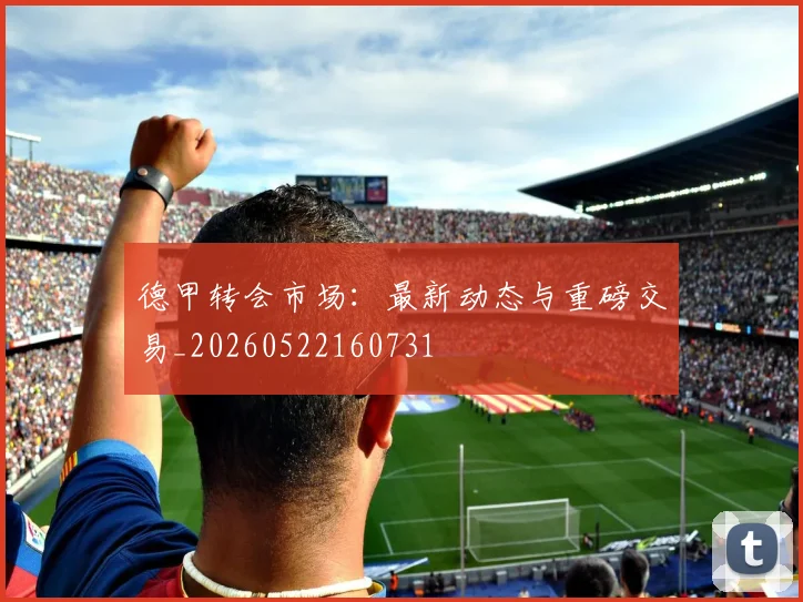 德甲转会市场:最新动态与重磅交易_20260522160731